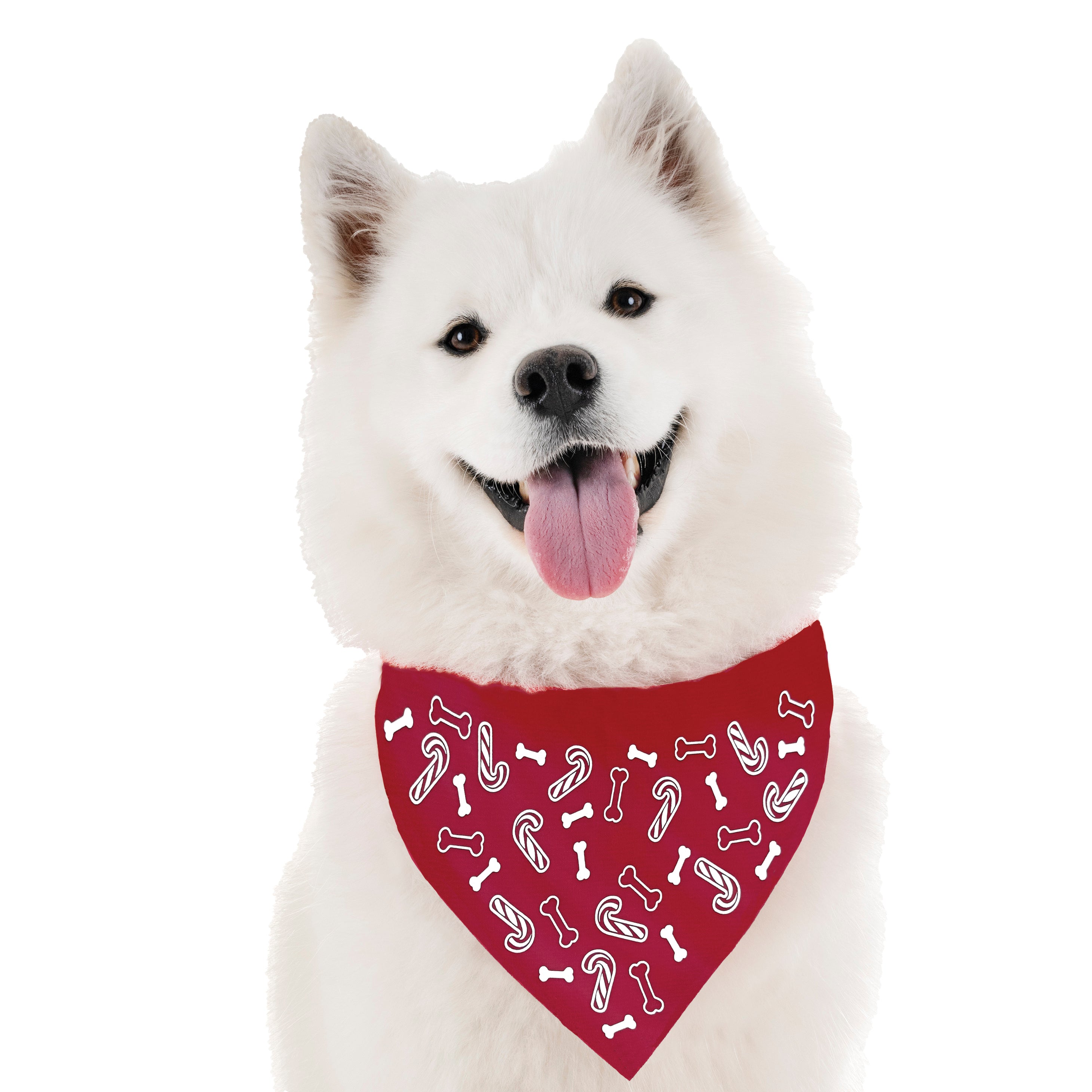 Hi-Vis Dog Reflective Bandana | Candy Canes