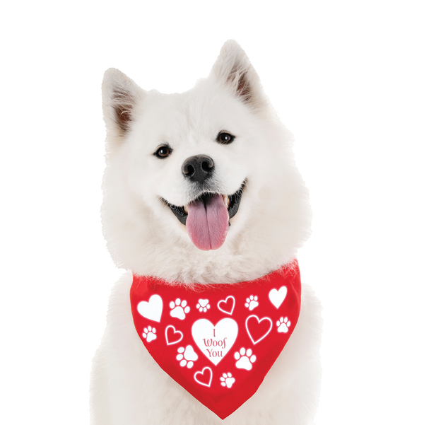 Hi-Vis Dog Reflective Bandana | Hearts "I Woof You"