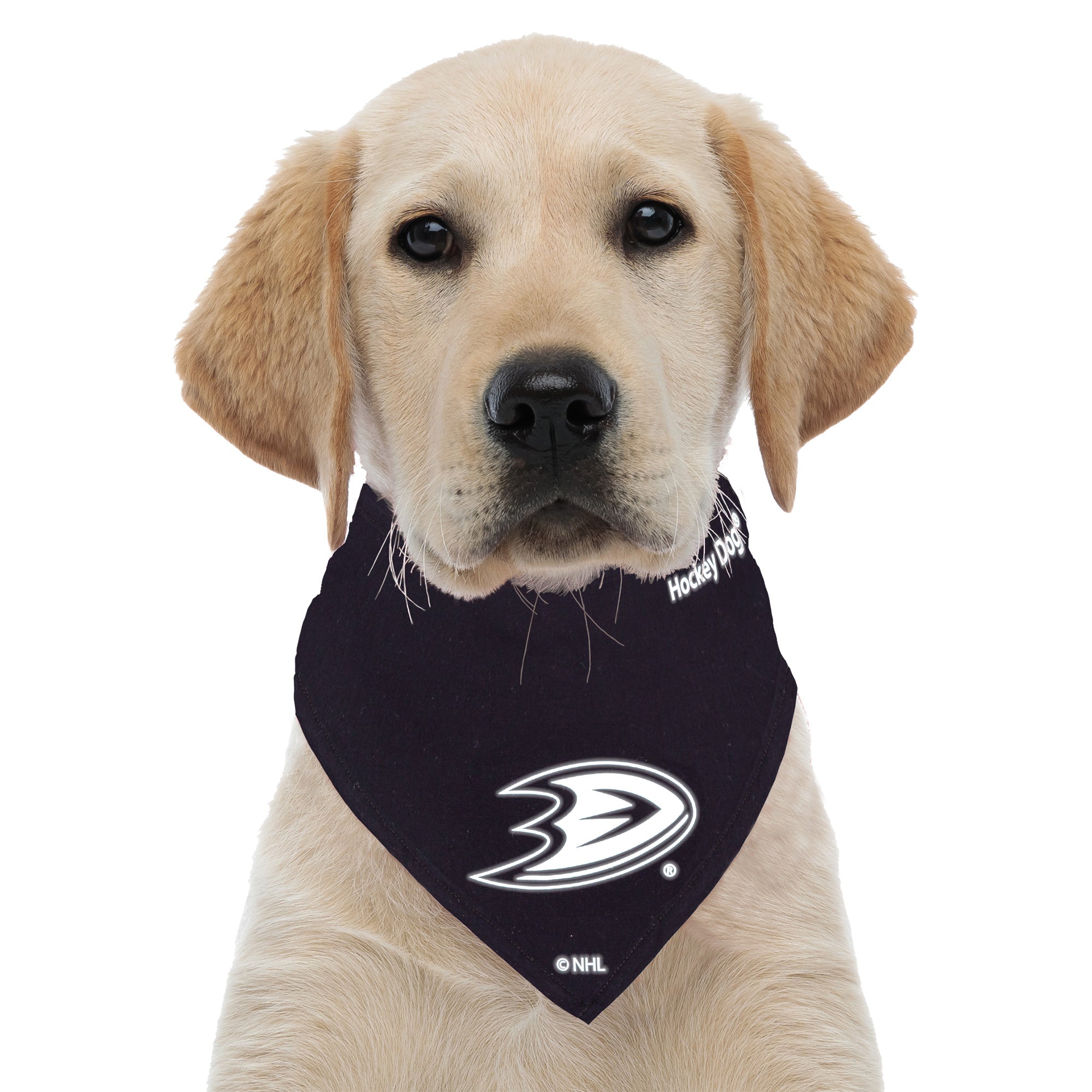 Hockey-Dog-Bandana-Anaheim_WEB