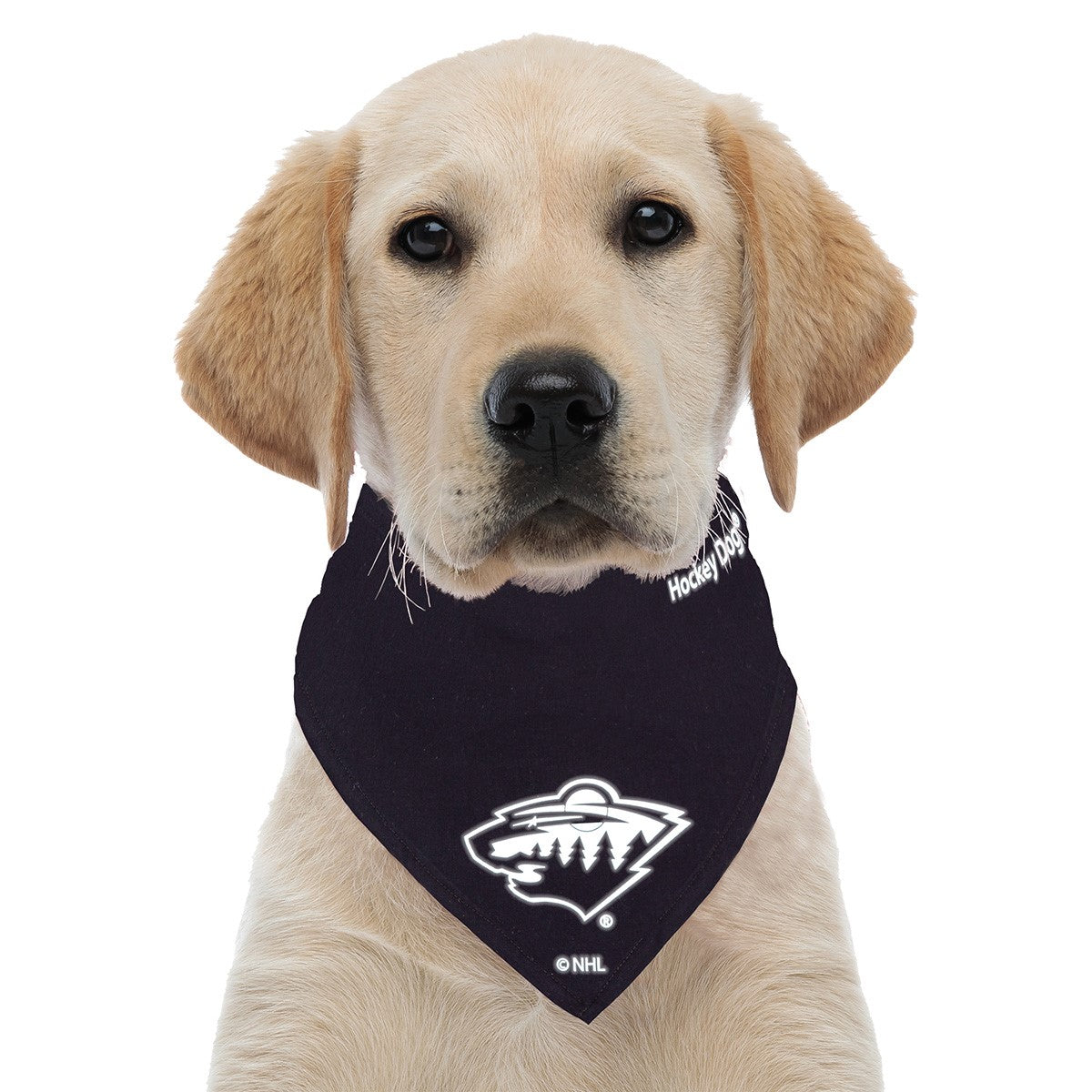 Hockey Dog® Reflective Bandana | Minnesota Wild