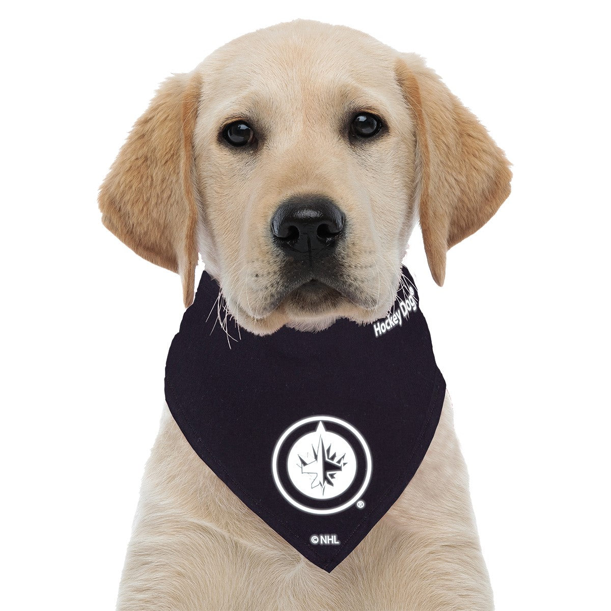 Hockey Dog® Reflective Bandana | Winnipeg Jets